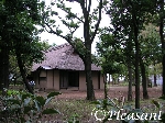 DSCN2861-01.jpg