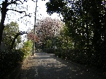 masae_080406_14sekimachi.JPG