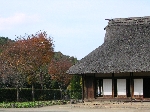 noyama_rokudo096.JPG